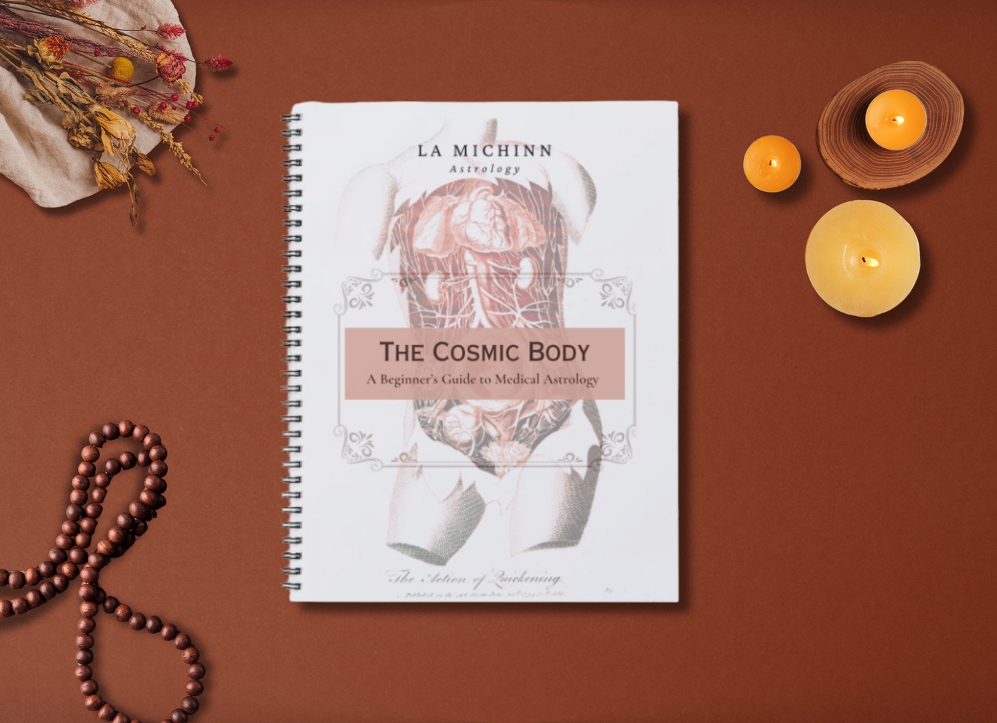 Cosmic Body Workbook: The Cosmos for Self-Care